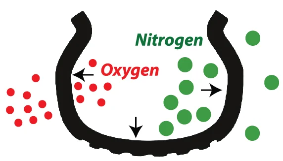 Nitrogen vs oxygen molecules in tires