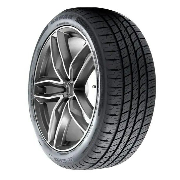 Set of (2) New 255/40R20 Radar EV 101W - Image 1