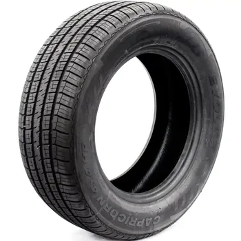 Set of (2) New P255/55R18 Evoluxx Capricorn HP 109V