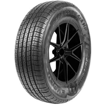 New P245/55R19 Evoluxx Capricorn 4X4 HP 103V