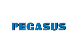 Pegasus Tires Logo