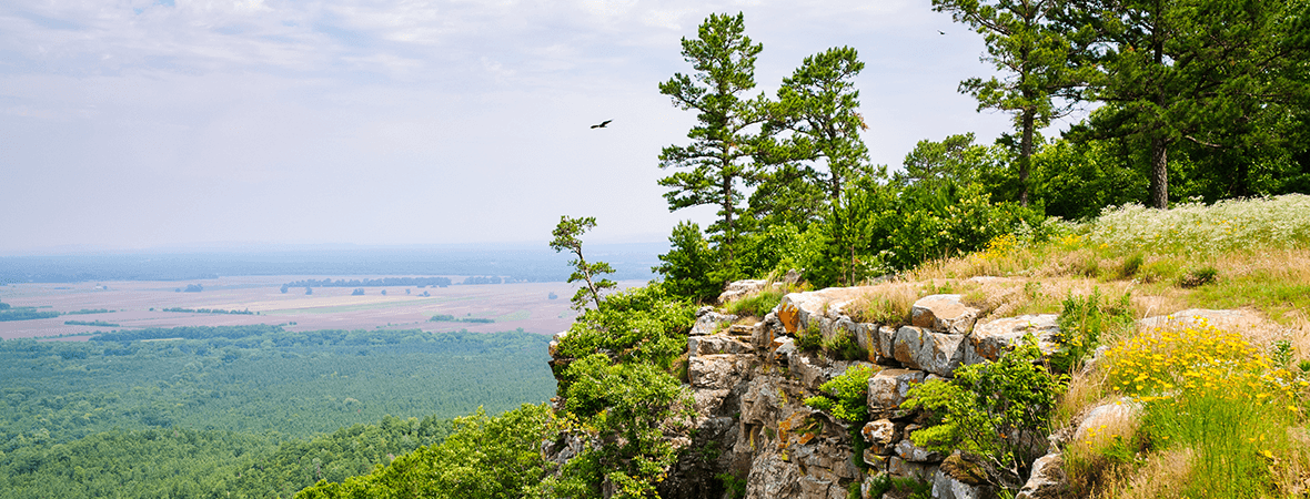 What tires do you need for Arkansas weather?