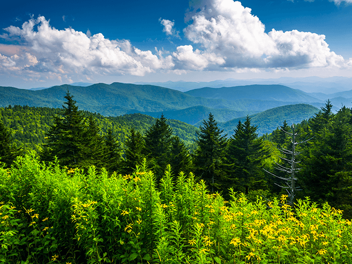 What tires do you need for Gastonia weather?