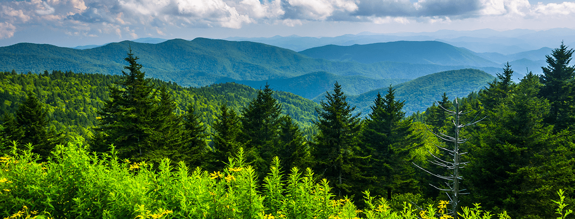 What tires do you need for Gastonia weather?