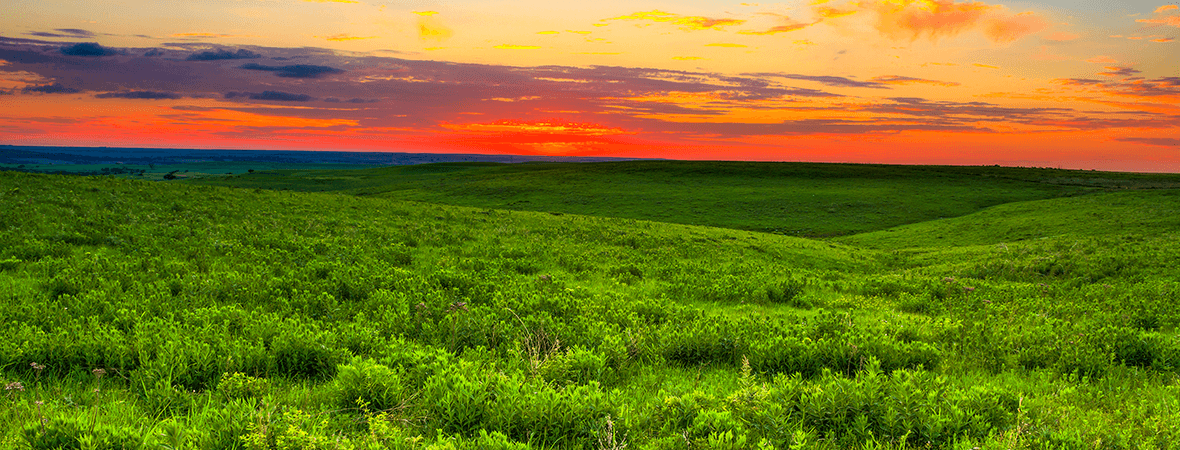 What tires do you need for Kansas weather?