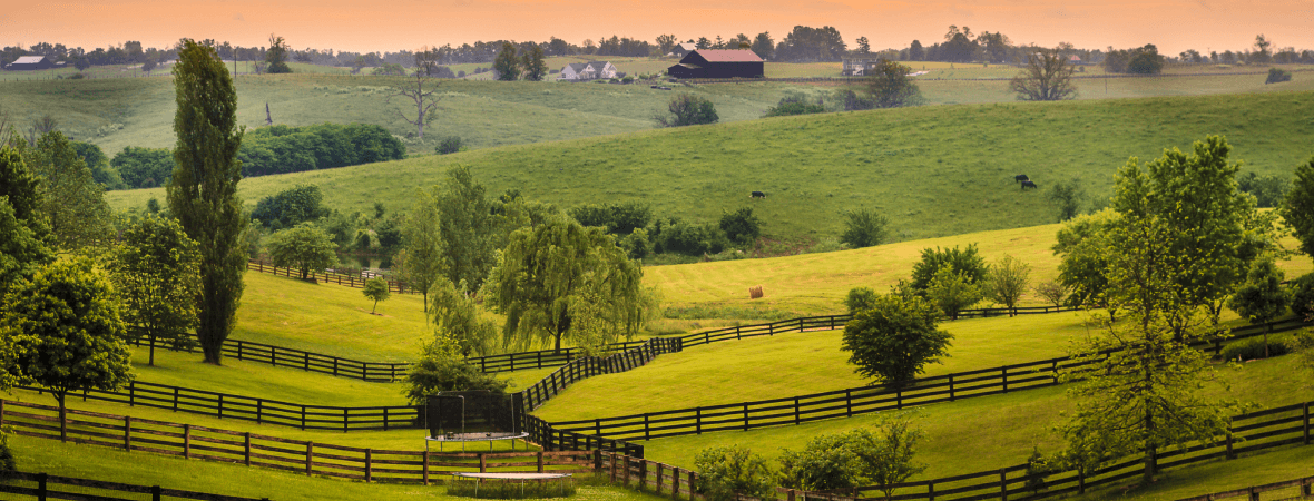 What tires do you need for Kentucky weather?