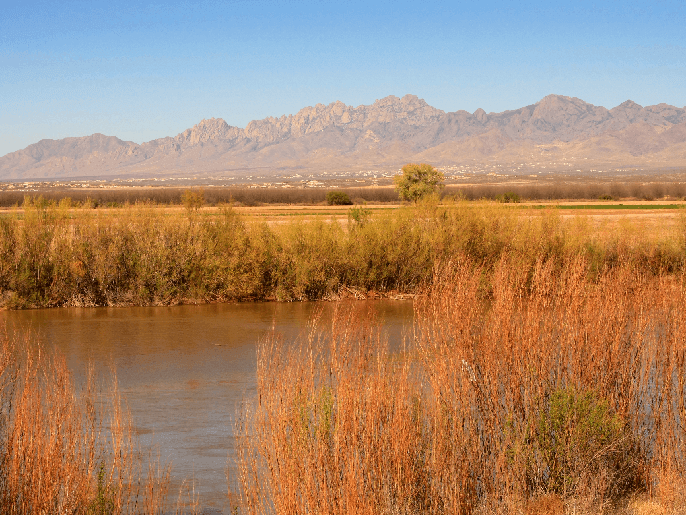 What tires do you need for Las Cruces weather?