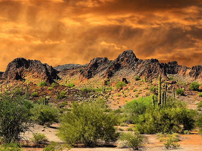 What tires do you need for New mexico weather?