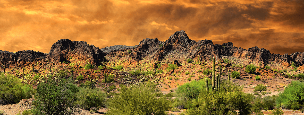 What tires do you need for New mexico weather?