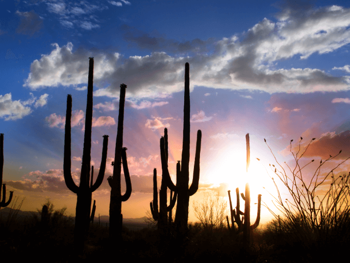 What tires do you need for Phoenix weather?