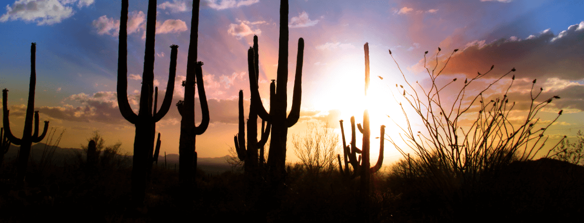 What tires do you need for Phoenix weather?