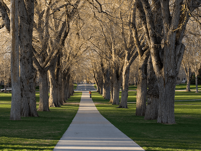 What tires do you need for Pueblo weather?