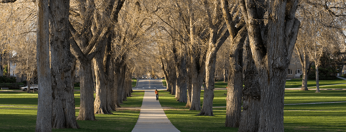 What tires do you need for Pueblo weather?