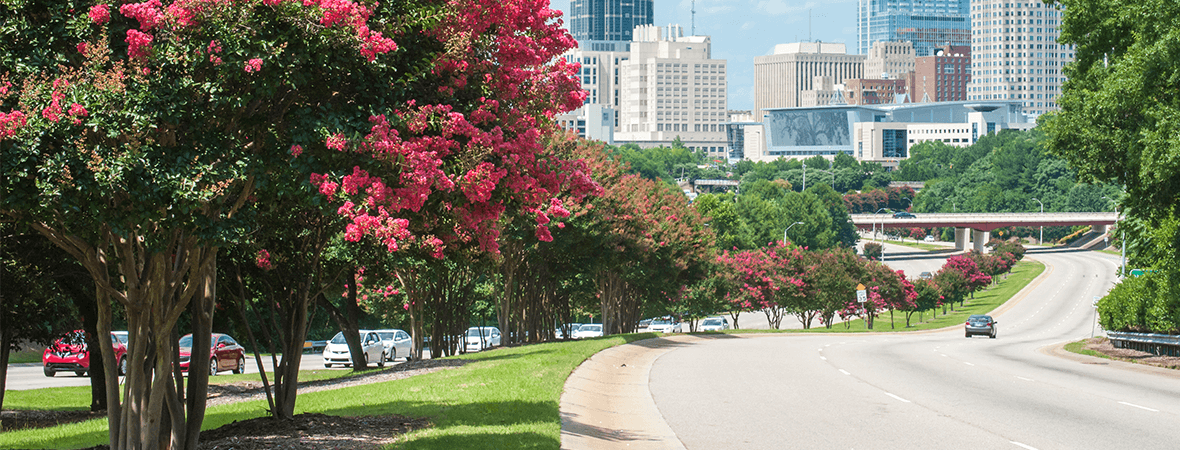 Automotive Raleigh at a glance