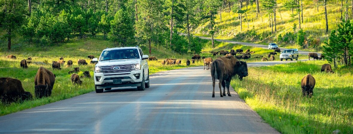 What tires do you need for South Dakota weather?