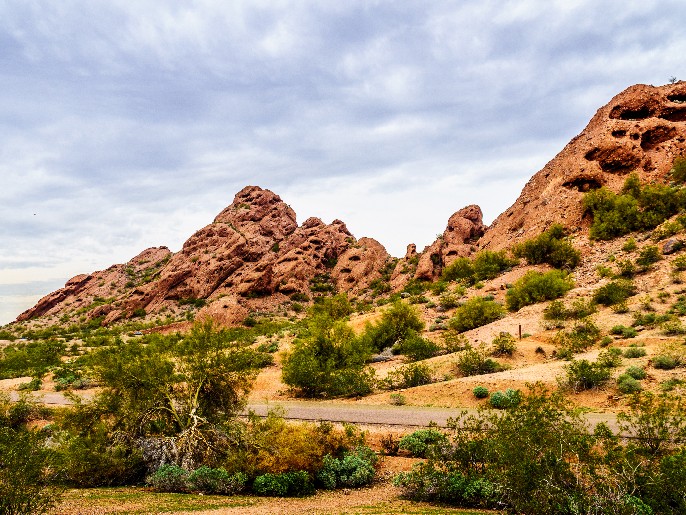 What tires do you need for Tempe weather?