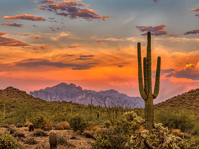 What tires do you need for Tucson weather?