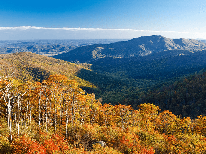 What tires do you need for Virginia weather?