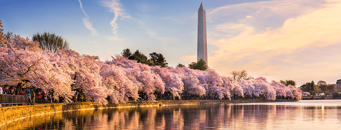 What tires do you need for Washington D.C. weather?