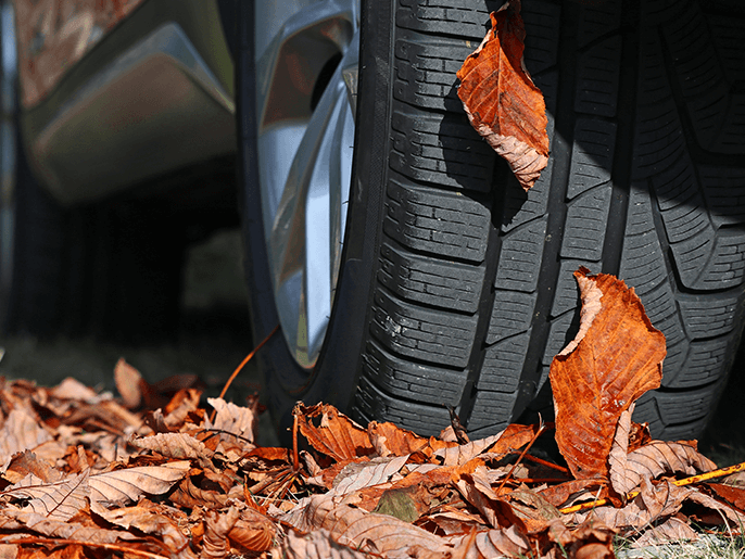 What tires do you need for Wayne weather?