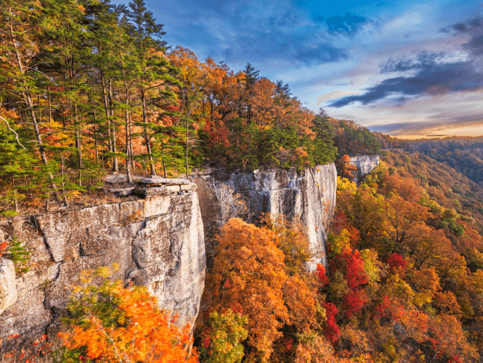 Shop Tires on Sale in WestVirginia: choose from more than 90,000 options