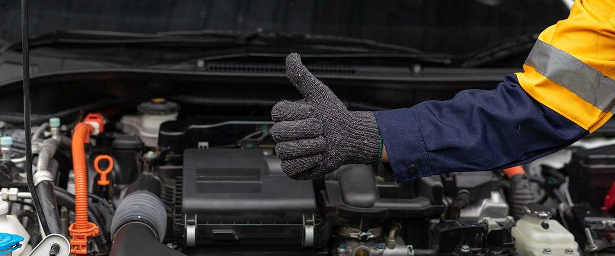 Vehicle Protection Services